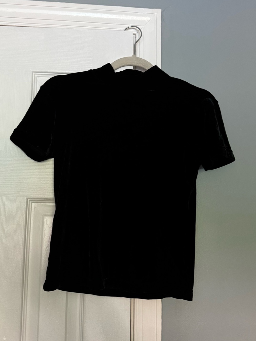 Vintage Ann Taylor Mock Neck Short Sleeve Velvet Top